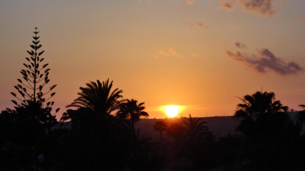 Apartamentos Aloe Playa del Inglés Esterno foto